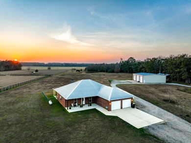 (private lake, pond, coastal) Home For Sale in Elberta Alabama