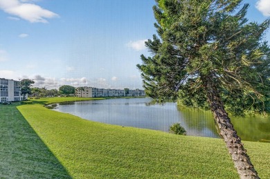 Discover your perfect property at 2035 Ainslie C in Boca Raton's - photo 25