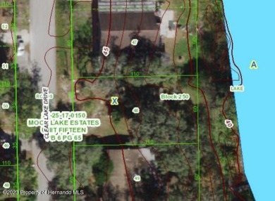 (private lake, pond, creek) Lot For Sale in New Port Richey Florida