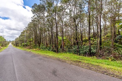 Here's your opportunity to secure two adjacent lots to be sold - photo 1