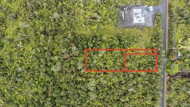 Here's your opportunity to secure two adjacent lots to be sold - photo 3