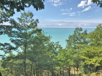 PENDING - 200 ft of Private Lake Michigan Frontage - Lake Lot For Sale in Ludington, Michigan