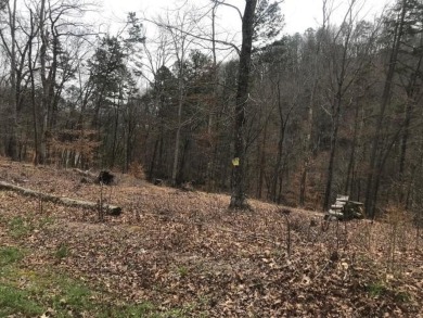Watts Bar Lake Lot Sale Pending in Rockwood Tennessee