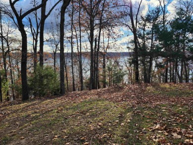 Lake Home For Sale in Bull Shoals, Arkansas