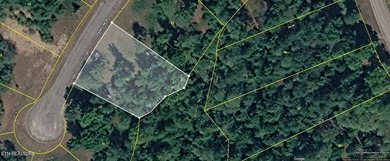 Watts Bar Lake Lot For Sale in Harriman Tennessee