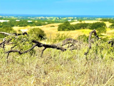 (private lake, pond, creek) Acreage For Sale in Goldthwaite Texas