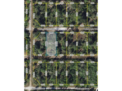 Lake Weohyakapka Lot For Sale in Indian Lake Estates Florida