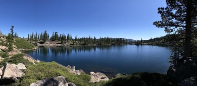 (private lake, pond, creek) Acreage For Sale in Sierra City California