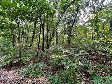 Fishermans Dream at Indian Springs. 0.35 +/- acres sitting at - photo 8