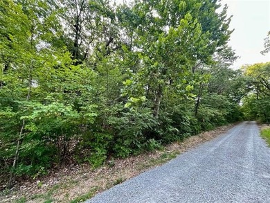 Fishermans Dream at Indian Springs. 0.35 +/- acres sitting at - photo 9