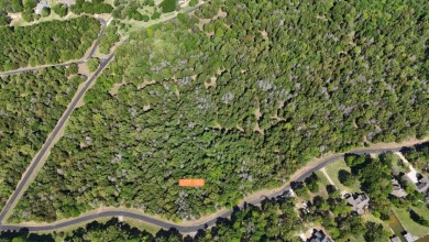 Your Wooded Lake Escape Awaits - photo 15
