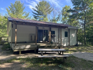 Lake Home For Sale in Gaylord, Michigan