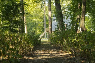 This 23.02+/- acre property sits directly along the Mississippi - photo 15