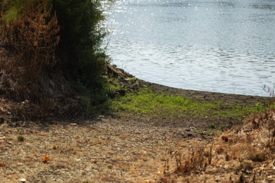 This 23.02+/- acre property sits directly along the Mississippi - photo 16