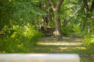 This 23.02+/- acre property sits directly along the Mississippi - photo 21