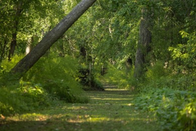 This 23.02+/- acre property sits directly along the Mississippi - photo 22