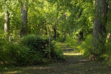 This 23.02+/- acre property sits directly along the Mississippi - photo 23
