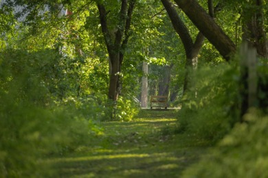 This 23.02+/- acre property sits directly along the Mississippi - photo 24
