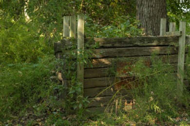 This 23.02+/- acre property sits directly along the Mississippi - photo 25