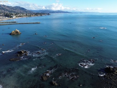 SPECTACULAR OCEAN VIEW OF PORT ENTRANCEe have a look at this - photo 32