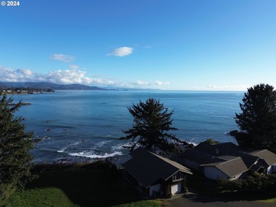 SPECTACULAR OCEAN VIEW OF PORT ENTRANCEe have a look at this - photo 36
