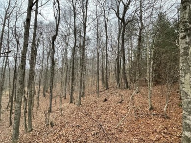 Lake Malone Lot For Sale in Lewisburg Kentucky