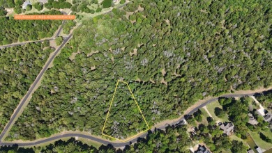 Your Wooded Lake Escape Awaits - photo 8