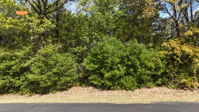Your Wooded Lake Escape Awaits - photo 5