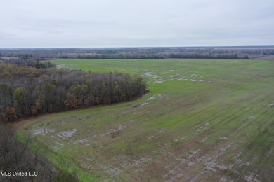 230+/- acres with 158 acres in farm cultivation receiving an - photo 11