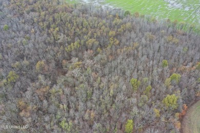 230+/- acres with 158 acres in farm cultivation receiving an - photo 13