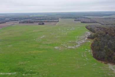 230+/- acres with 158 acres in farm cultivation receiving an - photo 16