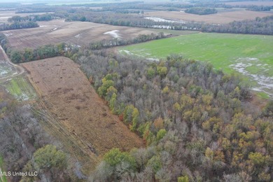 230+/- acres with 158 acres in farm cultivation receiving an - photo 19