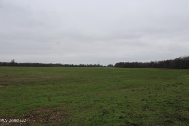 230+/- acres with 158 acres in farm cultivation receiving an - photo 20