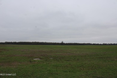 230+/- acres with 158 acres in farm cultivation receiving an - photo 21