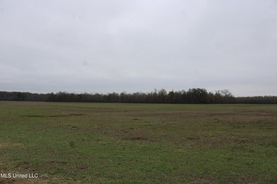 230+/- acres with 158 acres in farm cultivation receiving an - photo 22