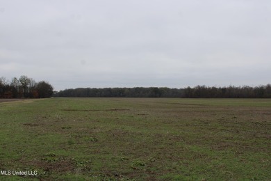 230+/- acres with 158 acres in farm cultivation receiving an - photo 25