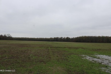230+/- acres with 158 acres in farm cultivation receiving an - photo 26