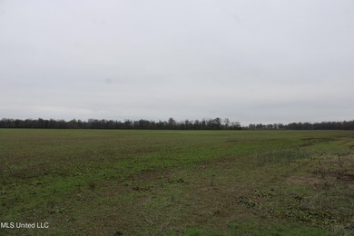 230+/- acres with 158 acres in farm cultivation receiving an - photo 27