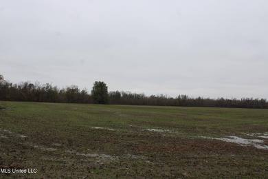 230+/- acres with 158 acres in farm cultivation receiving an - photo 28