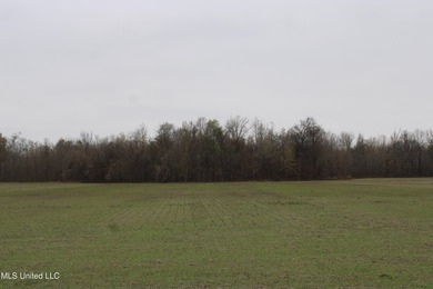 230+/- acres with 158 acres in farm cultivation receiving an - photo 30