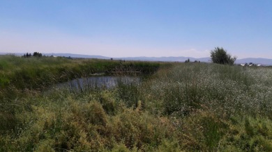 (private lake, pond, creek) Acreage For Sale in Fairfield Idaho