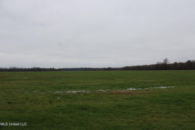 230+/- acres with 158 acres in farm cultivation receiving an - photo 33
