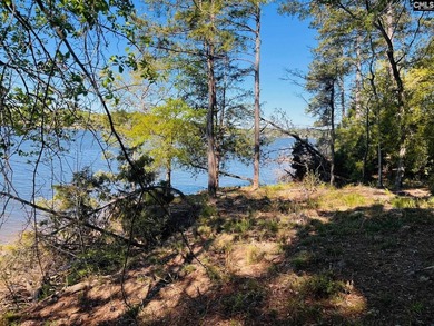Beautiful Waterfront 1.57 acre lot. This large lot has a great - photo 5