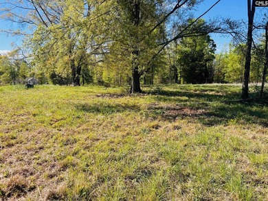 Beautiful Waterfront 1.57 acre lot. This large lot has a great - photo 6