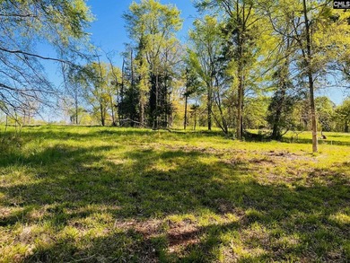 Beautiful Waterfront 1.57 acre lot. This large lot has a great - photo 8