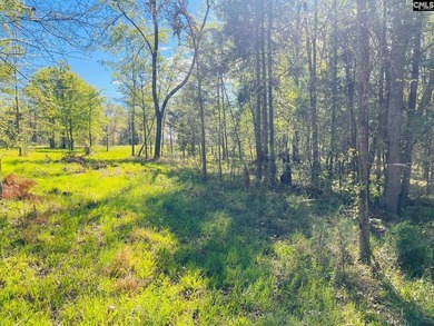 Beautiful Waterfront 1.57 acre lot. This large lot has a great - photo 9