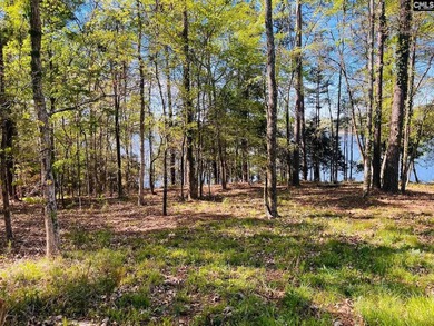 Beautiful Waterfront 1.57 acre lot. This large lot has a great - photo 10