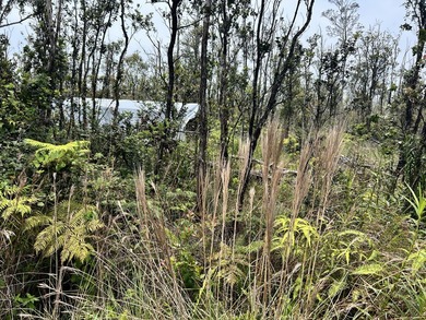 Paradise found for your Hawai'i homestead, farm, or off-grid - photo 3