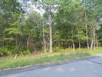 Indian Mountain Lakes Lot For Sale in Albrightsville Pennsylvania