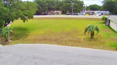 Lake Lot For Sale in Auburndale, Florida